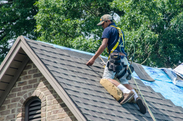 Best Gutter Installation and Roofing  in Menonee, MI